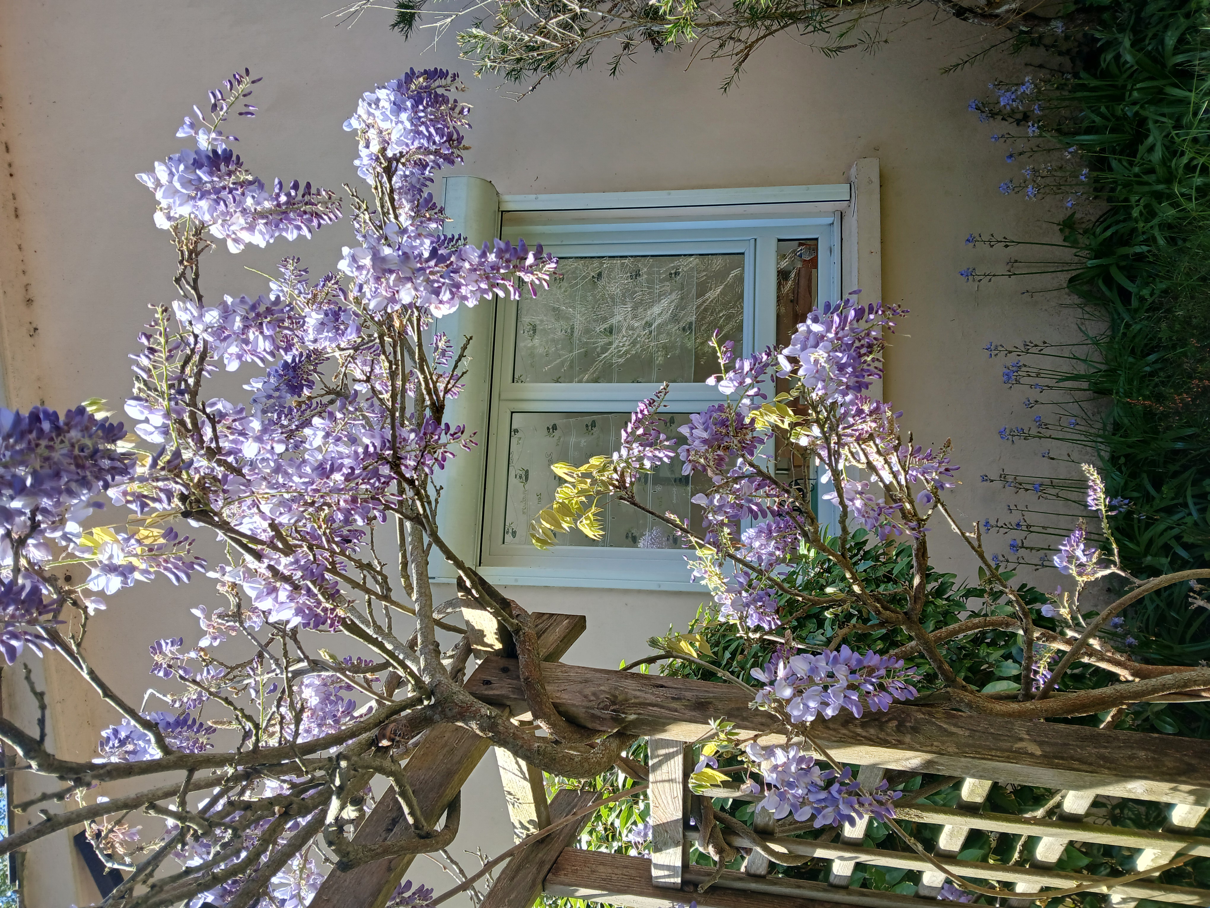 Gîte entre mer et forêt